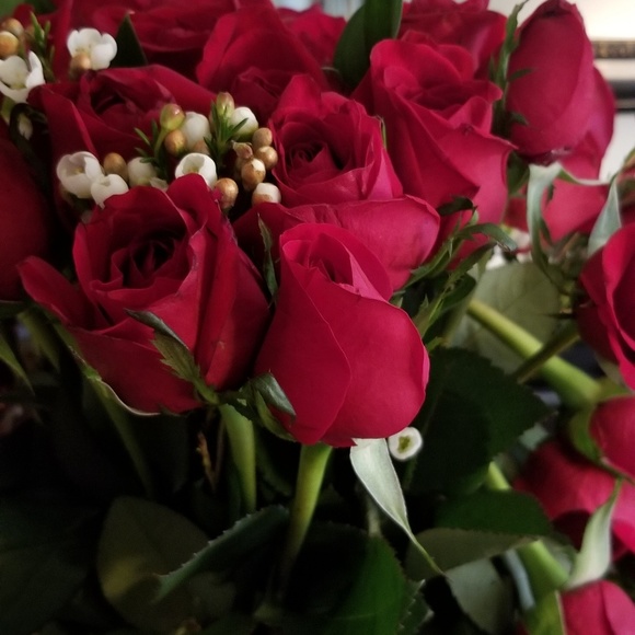 Meet your Posher, Shaunta - Picture 1 of 1